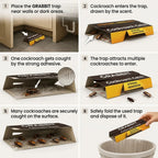 RoachCatch - Cockroach Trap | Strong Adhesion Glue | Multi-Entry Design |  10-Pack Value