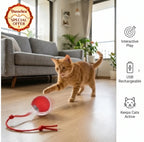 ChaseBall™ - Auto Movement | Active Play | Rechargeable Pet Ball
