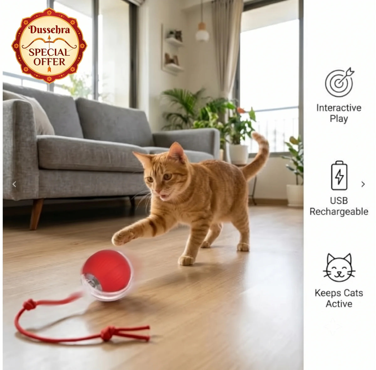 ChaseBall™ - Auto Movement | Active Play | Rechargeable Pet Ball
