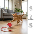 ChaseBall - Auto Movement | Rechargeable Pet Ball | Self Moving Design |  Electronic Pet Toy Ball