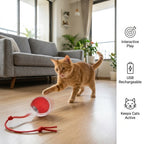 ChaseBall - Auto Movement | Rechargeable Pet Ball | Self Moving Design |  Electronic Pet Toy Ball