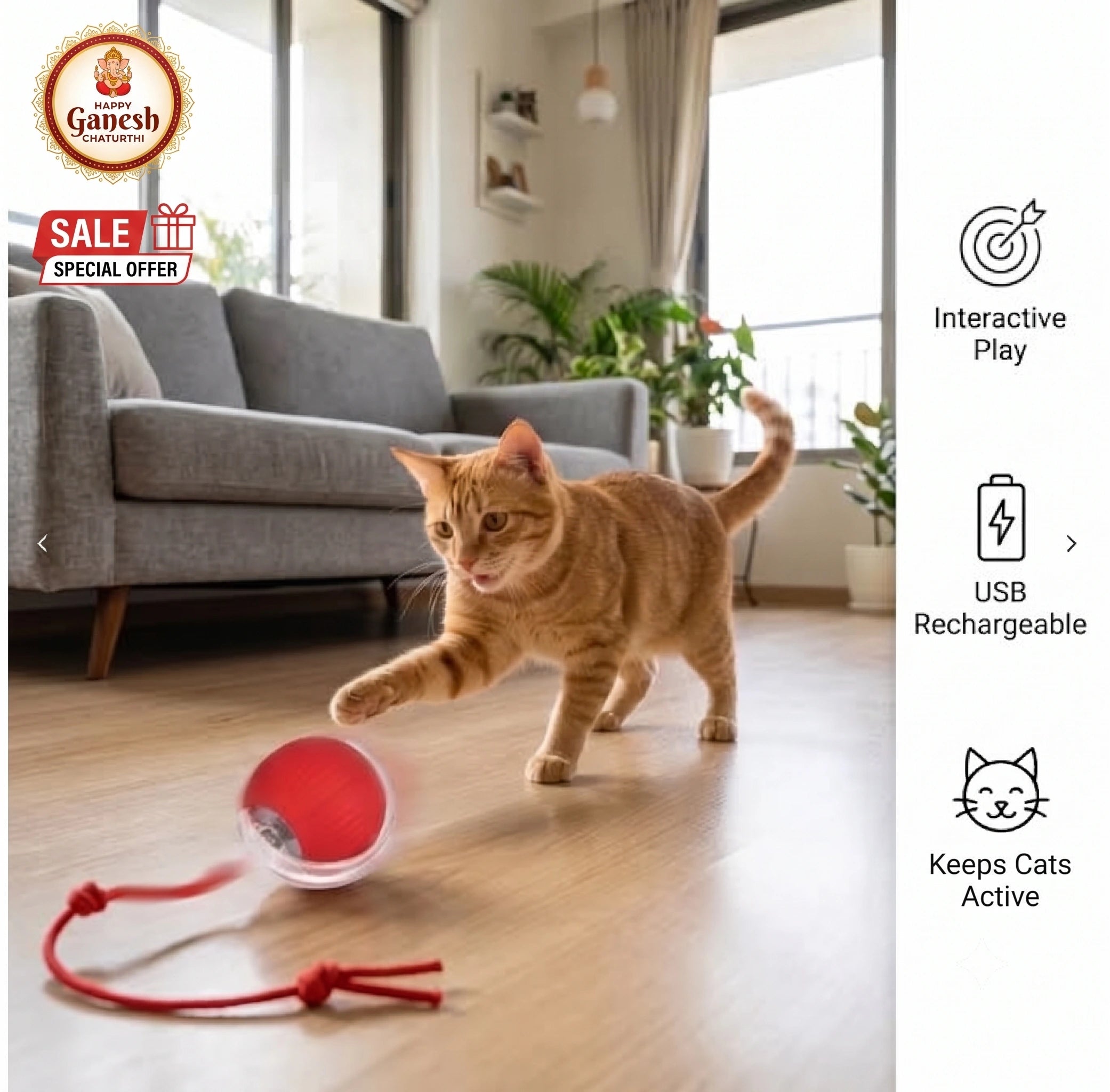 ChaseBall™ - Auto Movement | Active Play | Rechargeable Pet Ball