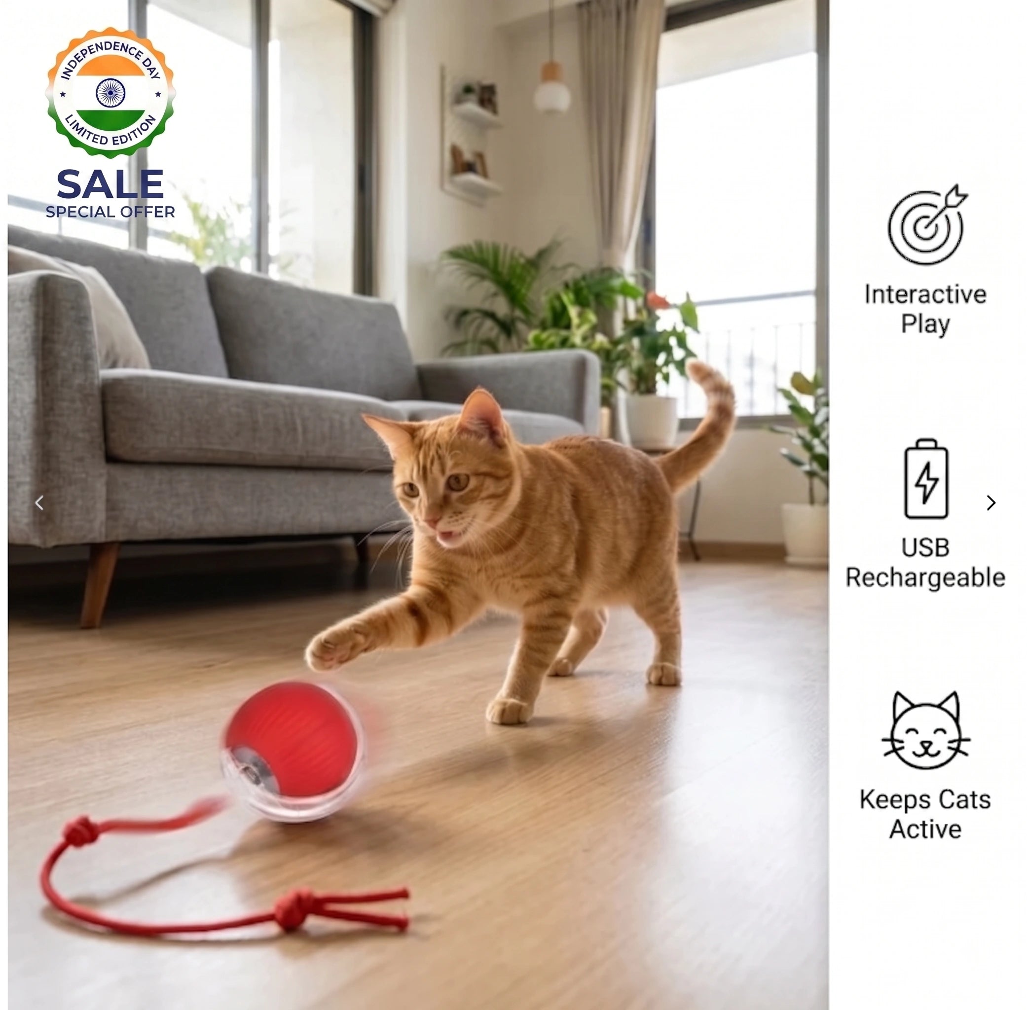 ChaseBall™ - Auto Movement | Active Play | Rechargeable Pet Ball