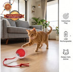 ChaseBall™ - Auto Movement | Active Play | Rechargeable Pet Ball