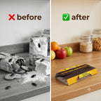 RoachCatch - Cockroach Trap | Strong Adhesion Glue | Multi-Entry Design |  10-Pack Value